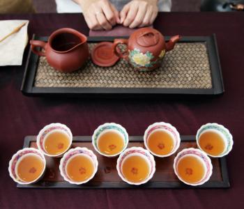 关于茶文化与可持续发展的思考