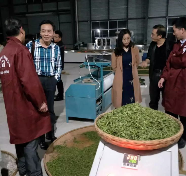 高超君副秘书长走访太湖县茶叶开发有限公司