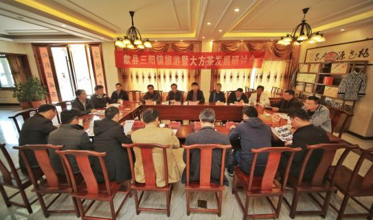 丁以寿会长受邀参加歙县三阳镇旅游暨大方茶发展研讨会
