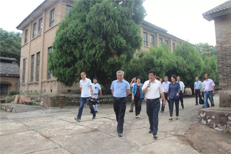 国家文化和旅游部副部长项兆伦莅临殷天霁副会长所在单位安徽国润茶业有限公司参观指导