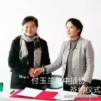 中插协讲师合肥培训基地 2019暑期讲师培训班开始招生