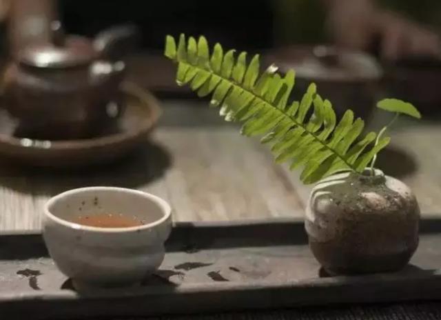 改革开放40年安徽茶叶科技发展成就回顾