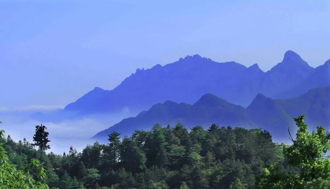 尹文汉教授谈池州茶文化|古代池州茶（一）