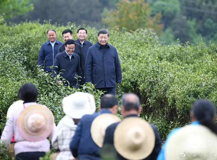 习近平：因茶致富 把茶叶这个产业做好